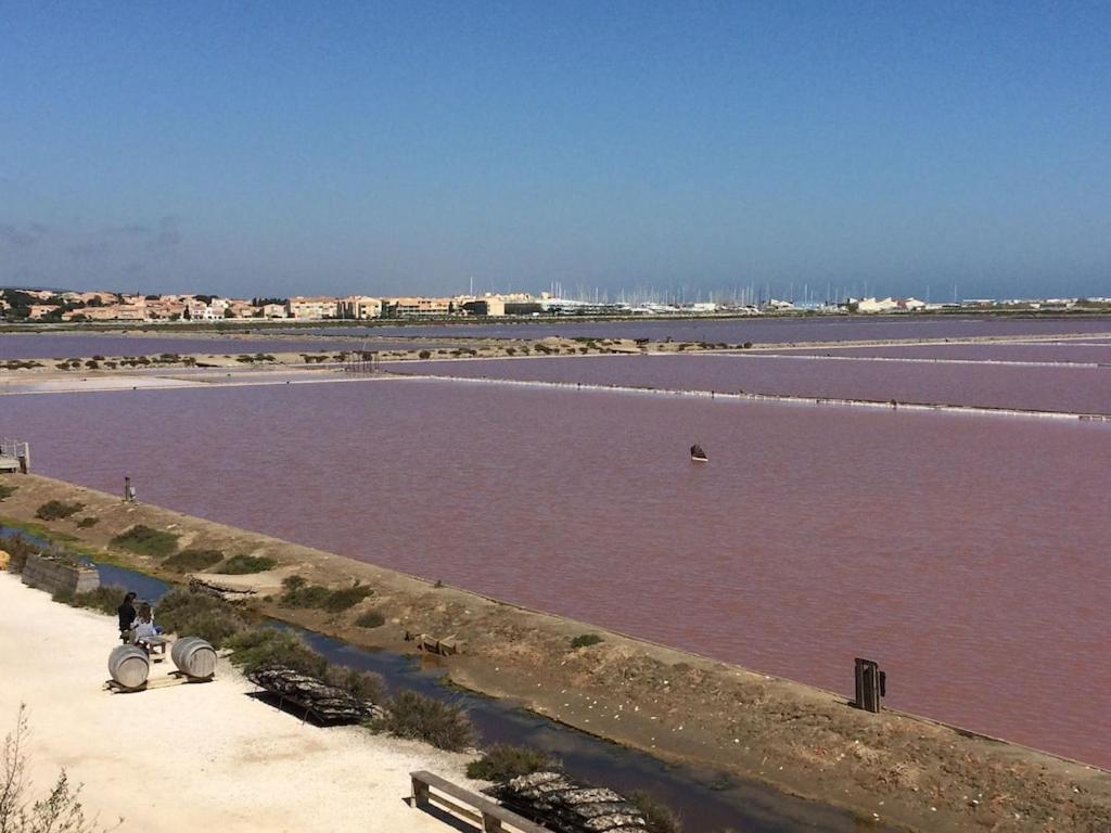 Gruissan Appartement Calme, Vue Sur Port De Plaisance -Clim, Empl.Parking מראה חיצוני תמונה